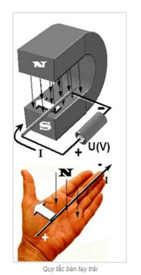 Định luật bàn tay trái là gì? Công thức tính bàn tay trái (chi tiết nhất)