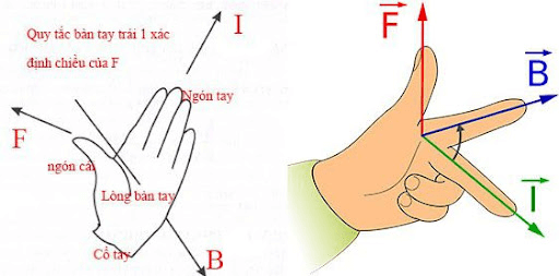 Định luật bàn tay trái là gì? Công thức tính bàn tay trái (chi tiết nhất)
