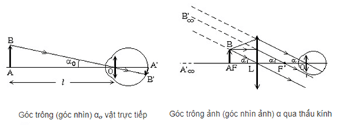 Kính lúp là gì? Công thức tính kính lúp (chi tiết nhất)