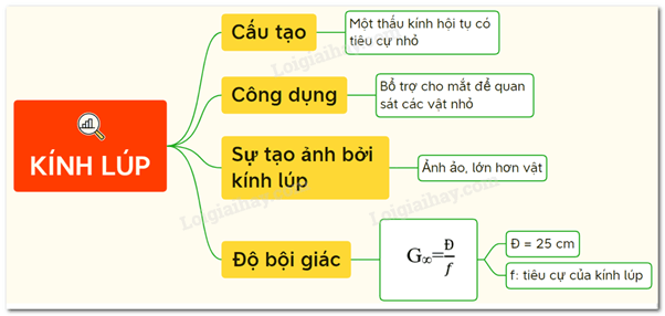 Kính lúp là gì? Công thức tính kính lúp (chi tiết nhất)