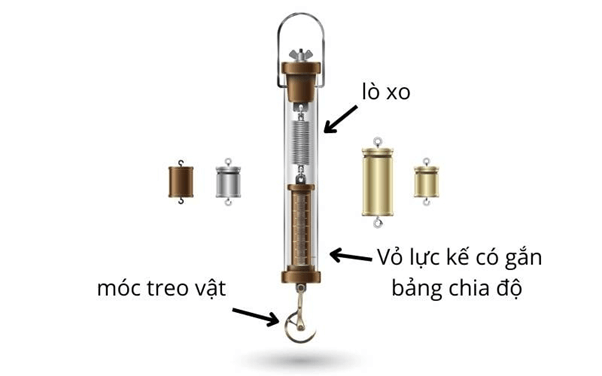 Lực đàn hồi là gì? Công thức tính lực đàn hồi (chi tiết nhất)