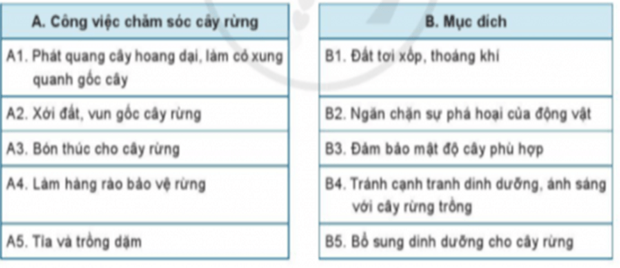 Nối các nội dung ở cột A với cột B để xác định mục đích của công việc chăm sóc cây rừng