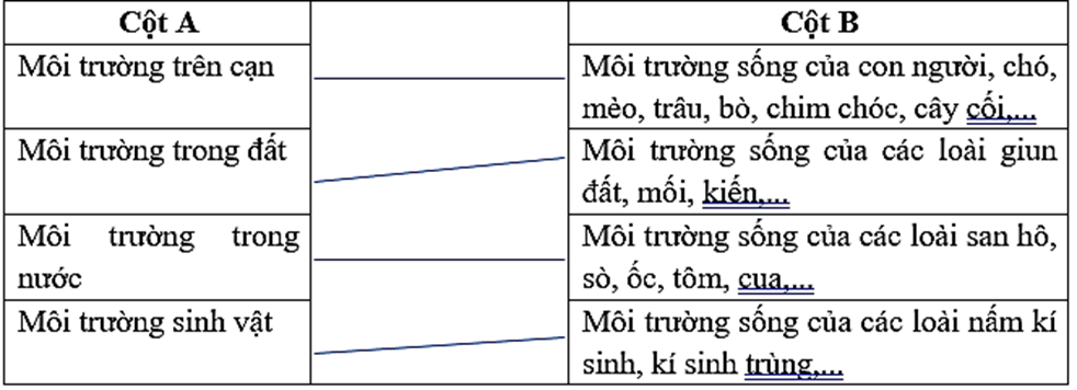 Vở bài tập Đạo đức lớp 5 Chân trời sáng tạo Bài 7: Môi trường sống quanh em