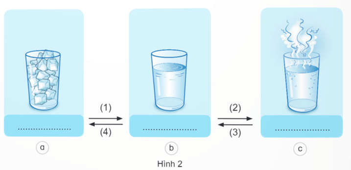 Vở bài tập Khoa học lớp 4 Kết nối tri thức Bài 2: Sự chuyển thể của nước và vòng tuần hoàn của nước trong tự nhiên