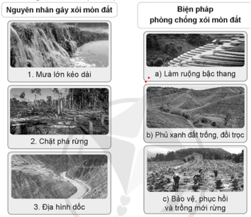 Vở bài tập Khoa học lớp 5 Cánh diều Bài 1: Đất và bảo vệ môi trường đất