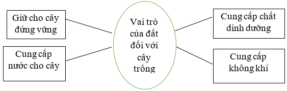 Vở bài tập Khoa học lớp 5 Cánh diều Bài 1: Đất và bảo vệ môi trường đất