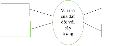 Vở bài tập Khoa học lớp 5 Cánh diều Bài 1: Đất và bảo vệ môi trường đất