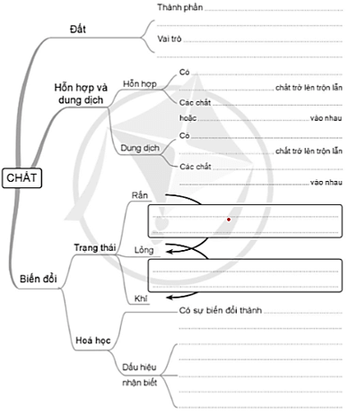 Vở bài tập Khoa học lớp 5 Cánh diều Ôn tập chủ đề Chất