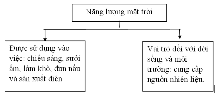 Vở bài tập Khoa học lớp 5 Chân trời sáng tạo Bài 11: Năng lượng mặt trời, gió và nước chảy 