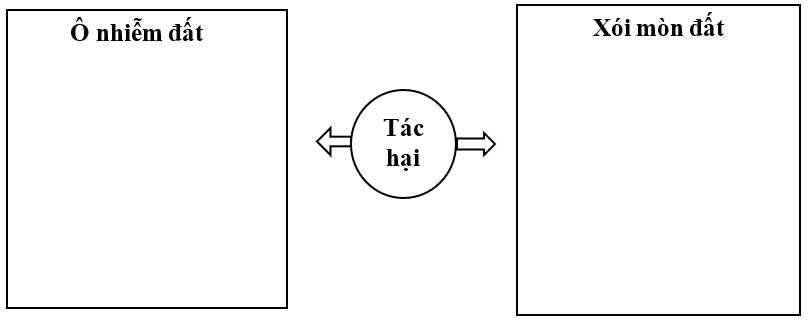 Vở bài tập Khoa học lớp 5 Chân trời sáng tạo Bài 2: Ô nhiễm, xói mòn đất và bảo vệ môi trường đất 