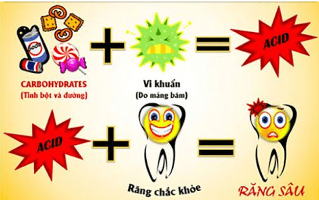 Vở bài tập Khoa học lớp 5 Chân trời sáng tạo Bài 21: Ôn tập chủ đề Vi khuẩn 