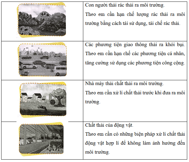 Vở bài tập Khoa học lớp 5 Chân trời sáng tạo 28: Chức năng của môi trường 