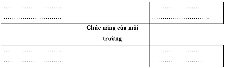 Vở bài tập Khoa học lớp 5 Chân trời sáng tạo Bài 28: Chức năng của môi trường 