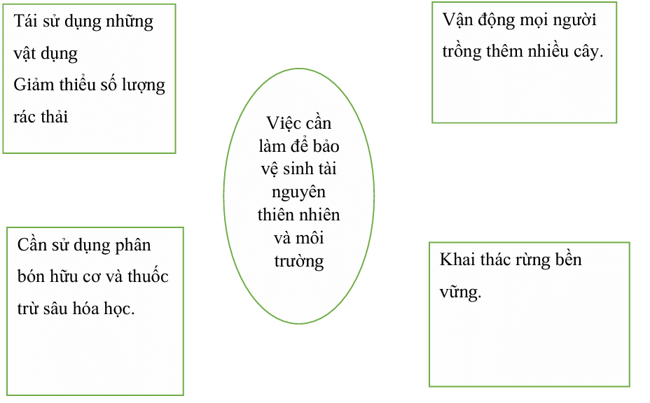 Vở bài tập Khoa học lớp 5 Chân trời sáng tạo Bài 29: Tác động của con người đến môi trường 