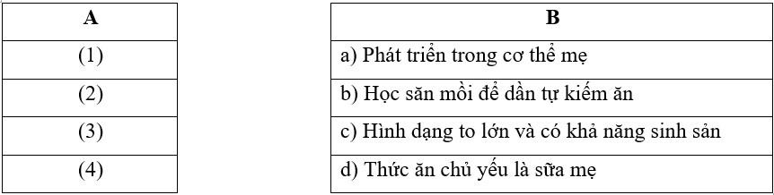 Vở bài tập Khoa học lớp 5 Kết nối tri thức Bài 16: Vòng đời và sự phát triển của động vật