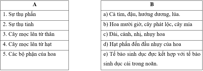 Vở bài tập Khoa học lớp 5 Kết nối tri thức Bài 17: Ôn tập chủ đề Thực vật và động vật