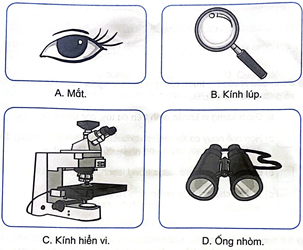 Vở bài tập Khoa học lớp 5 Kết nối tri thức Bài 18: Vi khuẩn xung quanh chúng ta