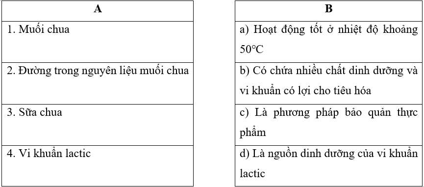 Vở bài tập Khoa học lớp 5 Kết nối tri thức Bài 19: Vi khuẩn có ích trong chế biến thực phẩm