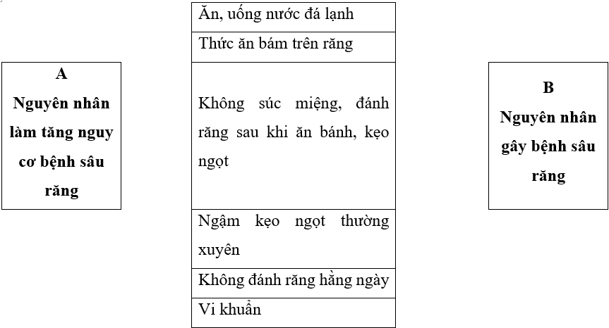 Vở bài tập Khoa học lớp 5 Kết nối tri thức Bài 20: Vi khuẩn gây bệnh ở người và cách phòng tránh