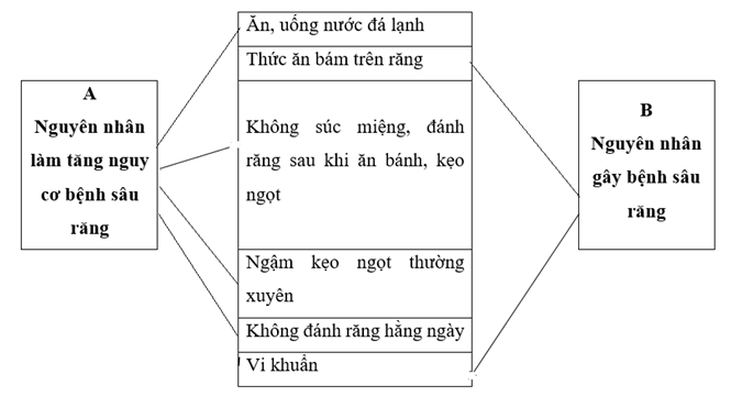 Vở bài tập Khoa học lớp 5 Kết nối tri thức Bài 20: Vi khuẩn gây bệnh ở người và cách phòng tránh