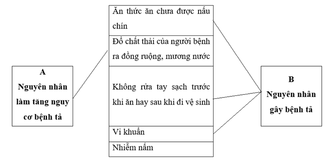 Vở bài tập Khoa học lớp 5 Kết nối tri thức Bài 20: Vi khuẩn gây bệnh ở người và cách phòng tránh