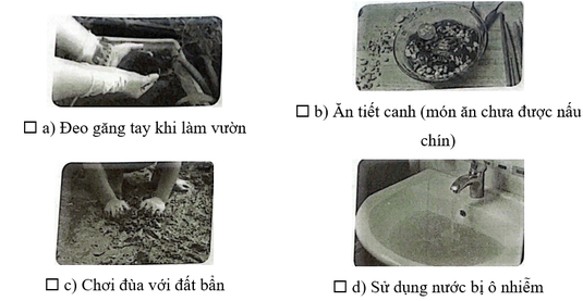 Vở bài tập Khoa học lớp 5 Kết nối tri thức Bài 21: Ôn tập chủ đề Vi khuẩn