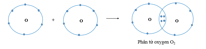 Hai nguyên tử O liên kết với nhau tạo thành phân tử oxygen