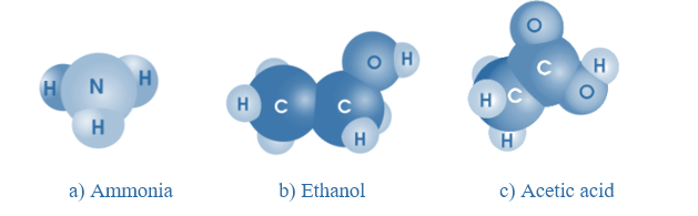 Tính khối lượng phân tử của một số chất trang 24 Vở bài tập KHTN 7