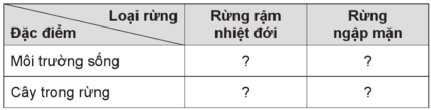 Vở bài tập Lịch Sử và Địa Lí lớp 5 Cánh diều Bài 2: Thiên nhiên Việt Nam