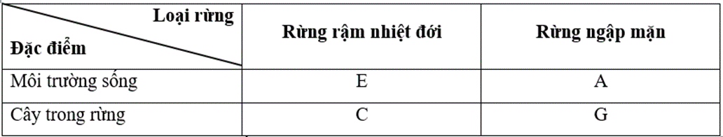 Vở bài tập Lịch Sử và Địa Lí lớp 5 Cánh diều Bài 2: Thiên nhiên Việt Nam