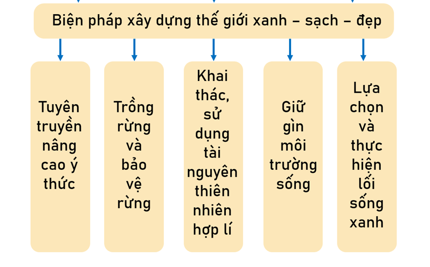 Vở bài tập Lịch Sử và Địa Lí lớp 5 Cánh diều Ôn tập học kì II