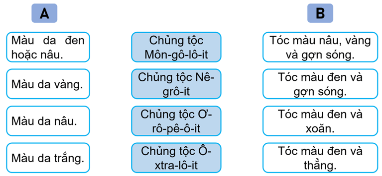 Vở bài tập Lịch Sử và Địa Lí lớp 5 Kết nối tri thức Bài 23: Dân số và các chủng tộc chính trên thế giới