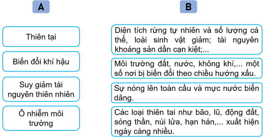 Vở bài tập Lịch Sử và Địa Lí lớp 5 Kết nối tri thức Bài 26: Xây dựng thế giới xanh - sạch - đẹp