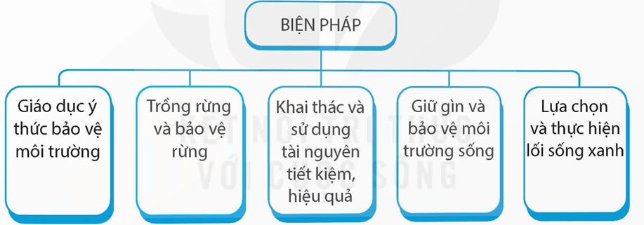 Vở bài tập Lịch Sử và Địa Lí lớp 5 Kết nối tri thức Bài 26: Xây dựng thế giới xanh - sạch - đẹp