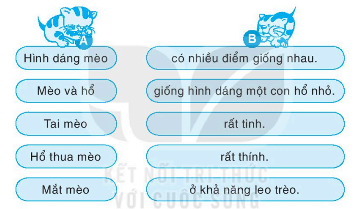 Vở bài tập Tiếng Việt lớp 1 Bài 6: Thiên nhiên kì thú | Kết nối tri thức
