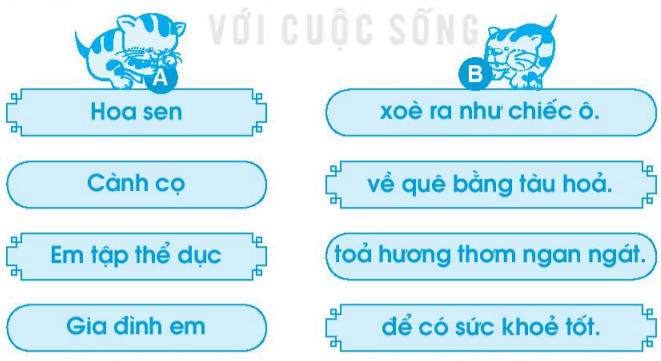 Vở bài tập Tiếng Việt lớp 1 Tập 1 trang 65 Bài 74: oa, oe