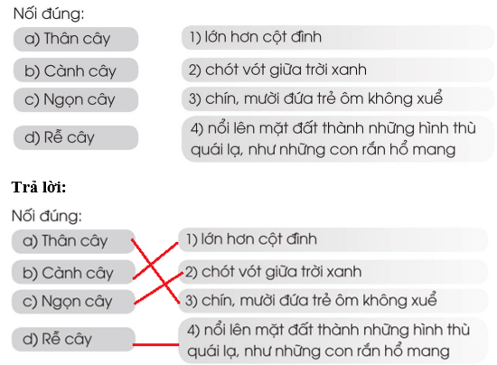 Vở bài tập Tiếng Việt lớp 2 Tập 2 trang 35, 36, 37, 38, 39 Bài 27: Ôn tập giữa học kì 2