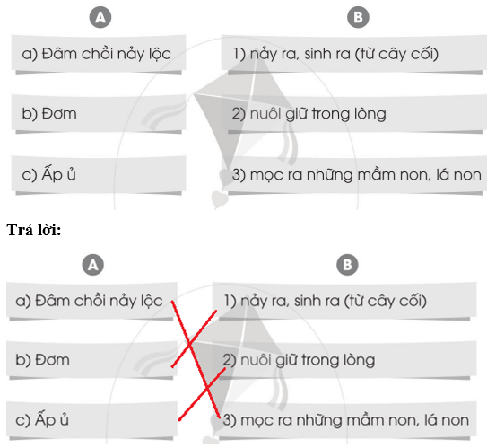 Vở bài tập Tiếng Việt lớp 2 Tập 2 trang 40, 41, 42, 43 Bài 28: Các mùa trong năm