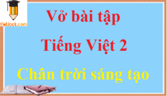 Giải vở bài tập Tiếng Việt lớp 2 hay nhất - Chân trời sáng tạo