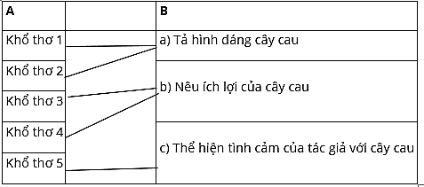 Cau trang 22, 23 Vở bài tập Tiếng Việt lớp 4 Cánh diều Tập 1