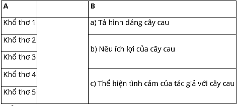 Cau trang 22, 23 Vở bài tập Tiếng Việt lớp 4 Cánh diều Tập 1
