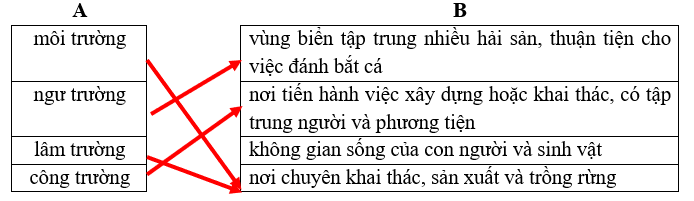 Vở bài tập Tiếng Việt lớp 5 Bài 8: Dưới những tán xanh | Chân trời sáng tạo