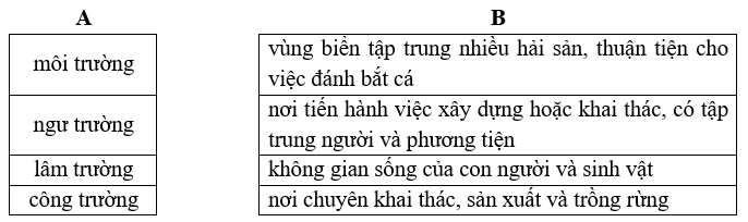 Vở bài tập Tiếng Việt lớp 5 Bài 8: Dưới những tán xanh | Chân trời sáng tạo