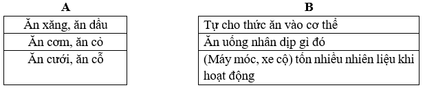 Vở bài tập Tiếng Việt lớp 5 Bài 19: Danh y Tuệ Tĩnh | Kết nối tri thức