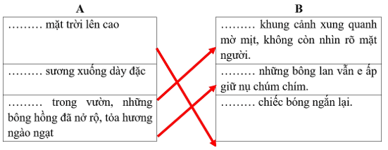 Vở bài tập Tiếng Việt lớp 5 Ôn tập giữa học kì 2 | Kết nối tri thức