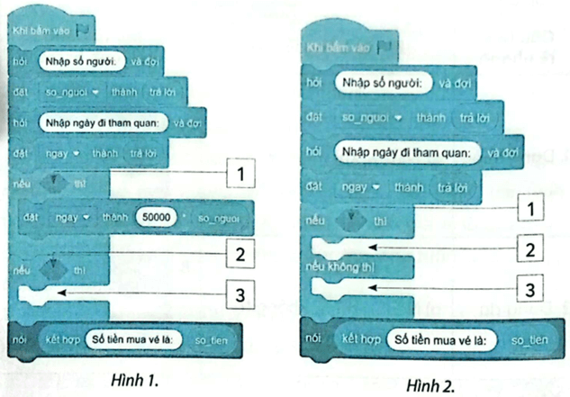 Vở bài tập Tin học lớp 5 Chân trời sáng tạo Bài 10: Cấu trúc rẽ nhánh