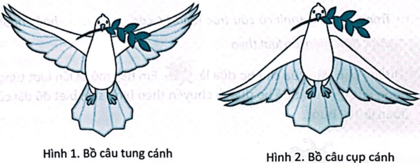 Vở bài tập Tin học lớp 5 Kết nối tri thức Bài 10: Cấu trúc tuần tự