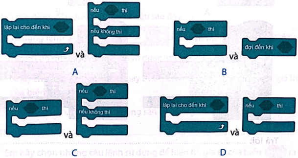 Vở bài tập Tin học lớp 5 Kết nối tri thức Bài 13: Cấu trúc rẽ nhánh