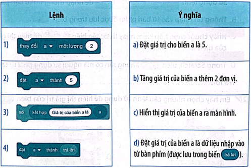 Vở bài tập Tin học lớp 5 Kết nối tri thức Bài 14: Sử dụng biến trong chương trình