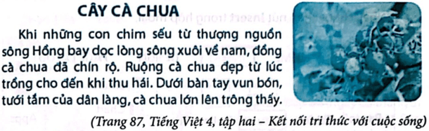 Vở bài tập Tin học lớp 5 Kết nối tri thức Bài 6: Định dạng kí tự và bố trí hình ảnh trong văn bản